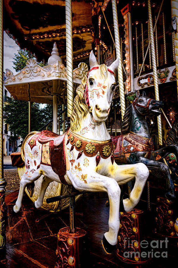 Carousel Horse Photograph by Olivier Le Queinec