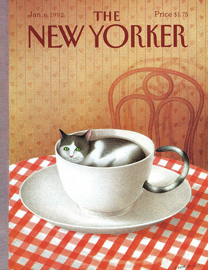 New Yorker January 6, 1992 by Gurbuz Dogan Eksioglu