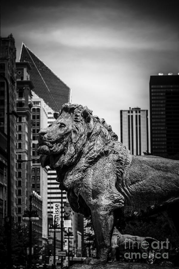 Chicago Lion Statues in Black and White Photograph by Paul Velgos
