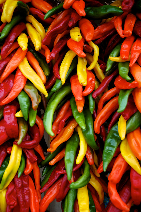 Vibrant Display of Colorful Peppers Photograph - Chile Ristras by Mary Lee Dereske