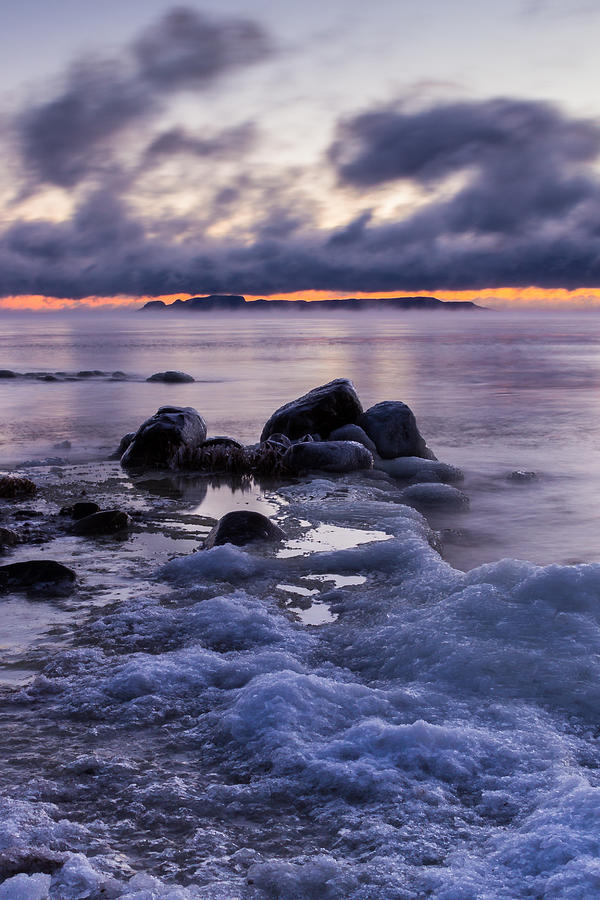 Chilled Photograph by Linda Ryma