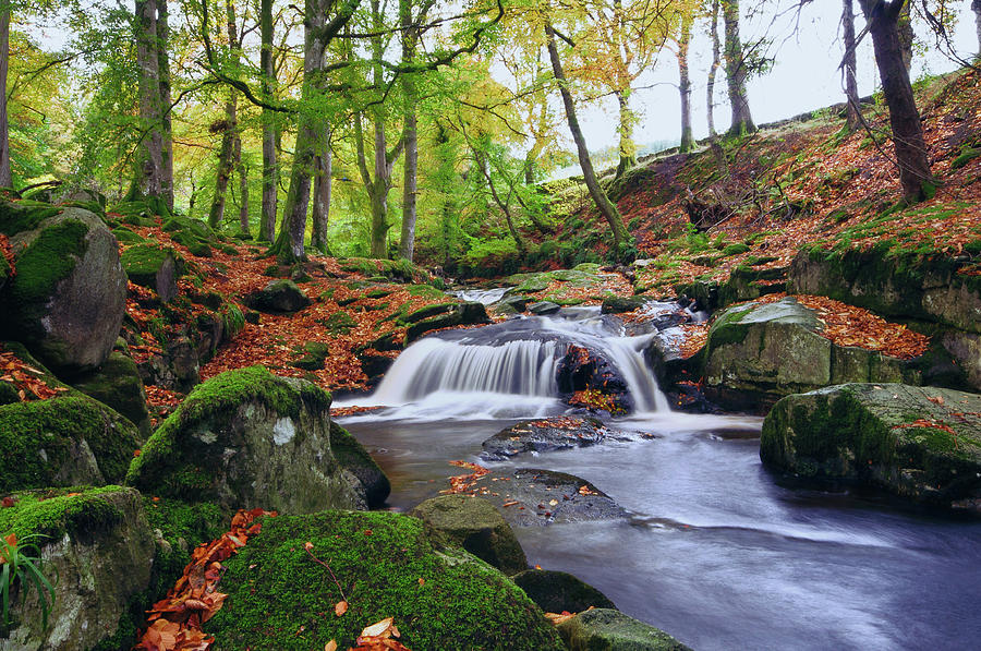 Cloghleagh by Black Hill Images