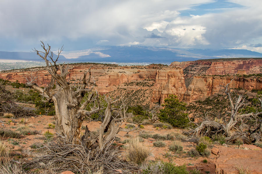Clouds Above Photograph by Jeff Stoddart