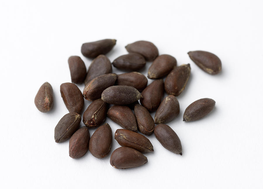 house plant led grow light GL-100 Grow Light main image 0