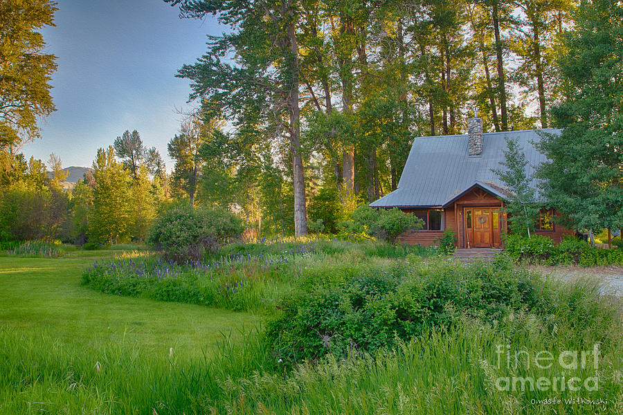 Cottonwood Cottage With Spring Lupine Digital Art by Omaste Witkowski