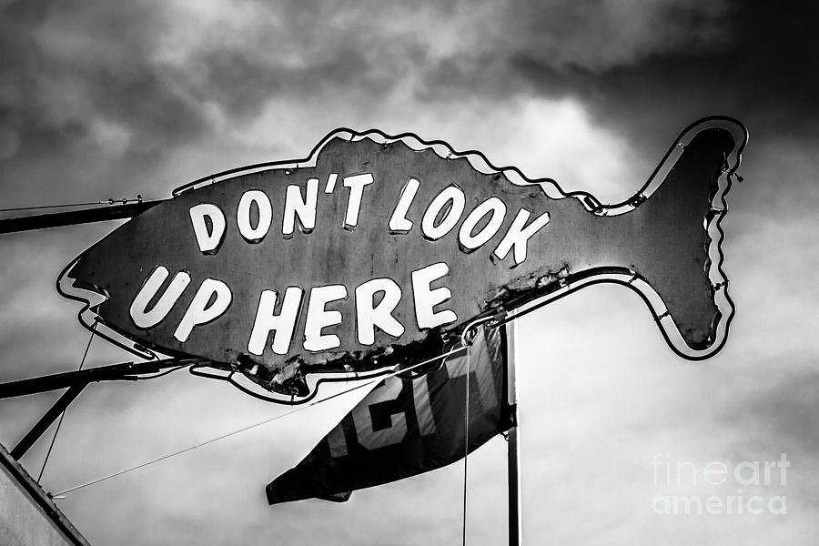 Crab Cooker Sign Newport Beach Picture Photograph by Paul Velgos