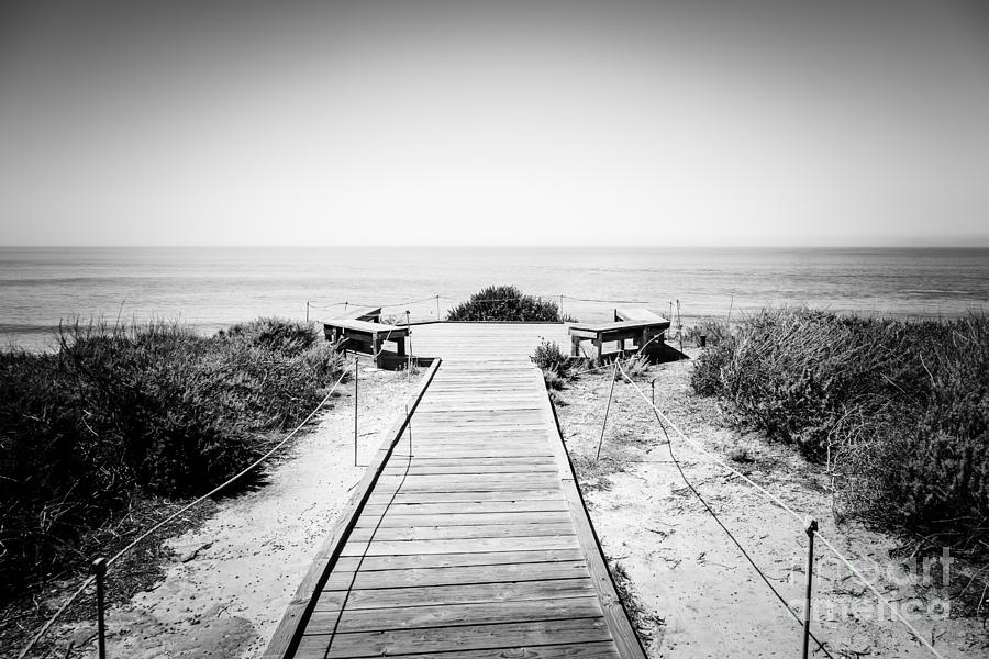 Crystal Cove Overlook Black and White Picture Photograph by Paul Velgos
