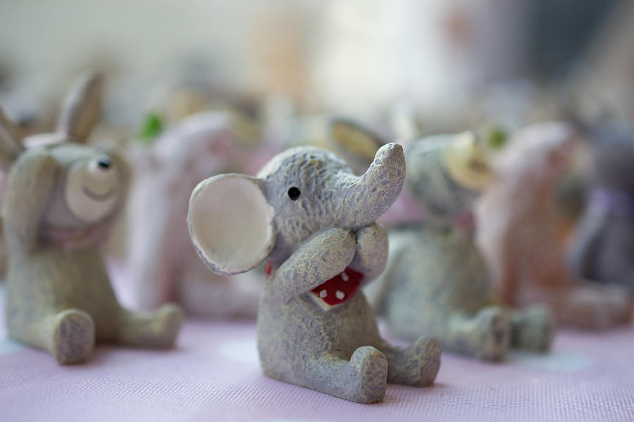 Cute elephants Photograph by Andrew Lalchan