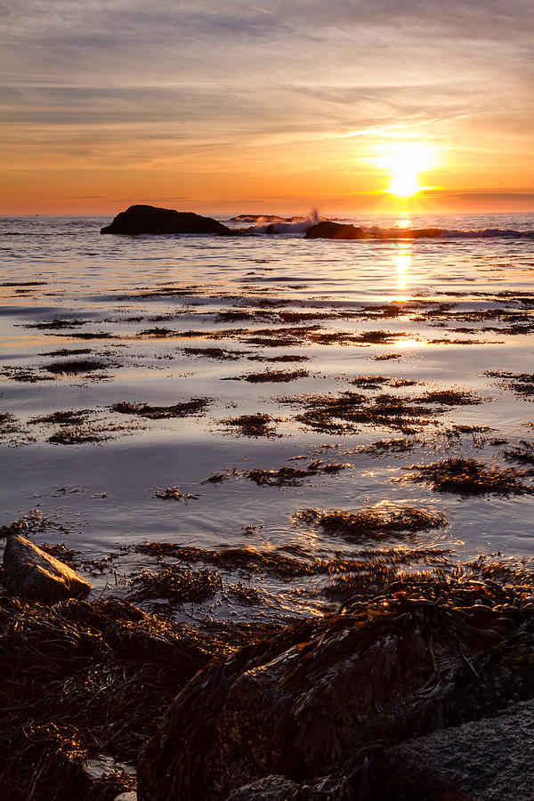 Dancing On The Tide Photograph by Jeff Sinon