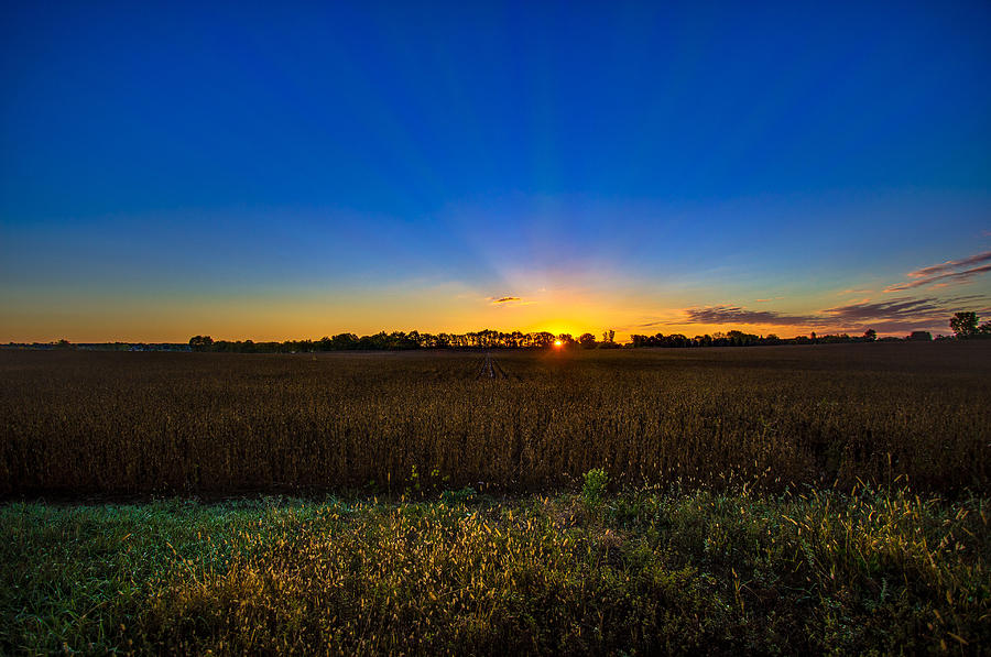 Dawn of a New Day Photograph by Adam Mateo Fierro