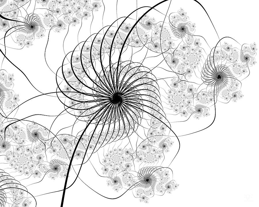 Delicato Digital Art by Vic Eberly