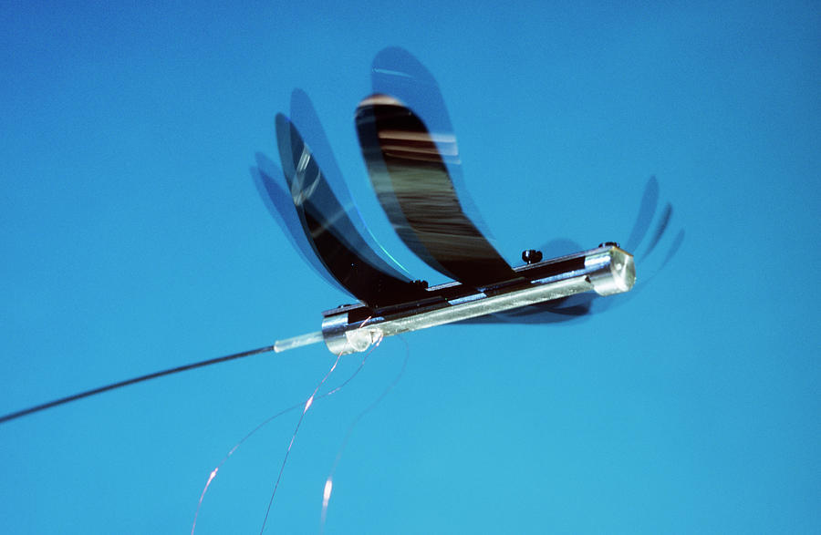 Microdrones Insect Dragonfly Microdrone by Philippe Psaila / Science Photo Library