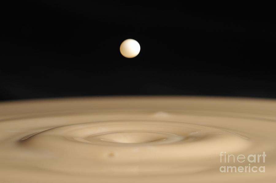Drop of milk splashing into coffee mixed with milk Photograph by Sami Sarkis Photography