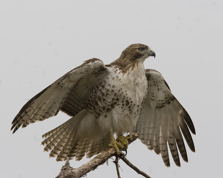 Drying Out Photograph by Jim E Johnson