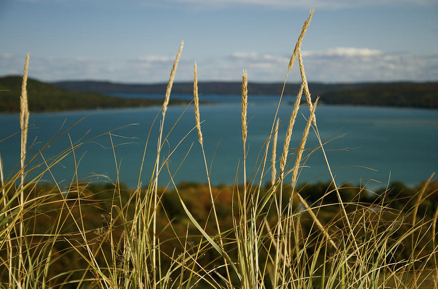 Dune Grass On A Sunny Fall Day Photograph by Owen Weber