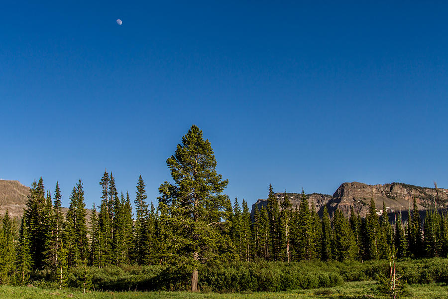 Early Evening Photograph by Jeff Stoddart