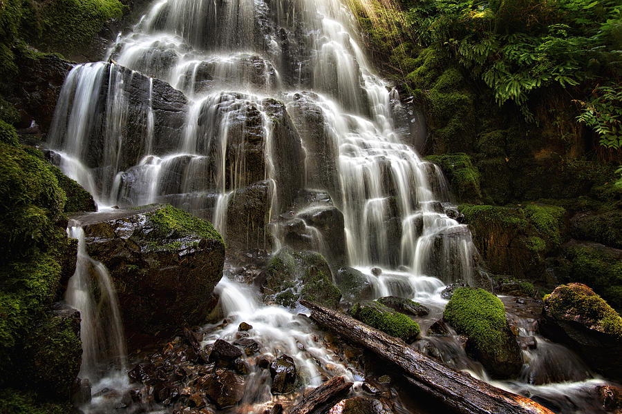 Cascading Forest Waterfall Photograph - Fairy Falls Oregon by Mary Jo Allen