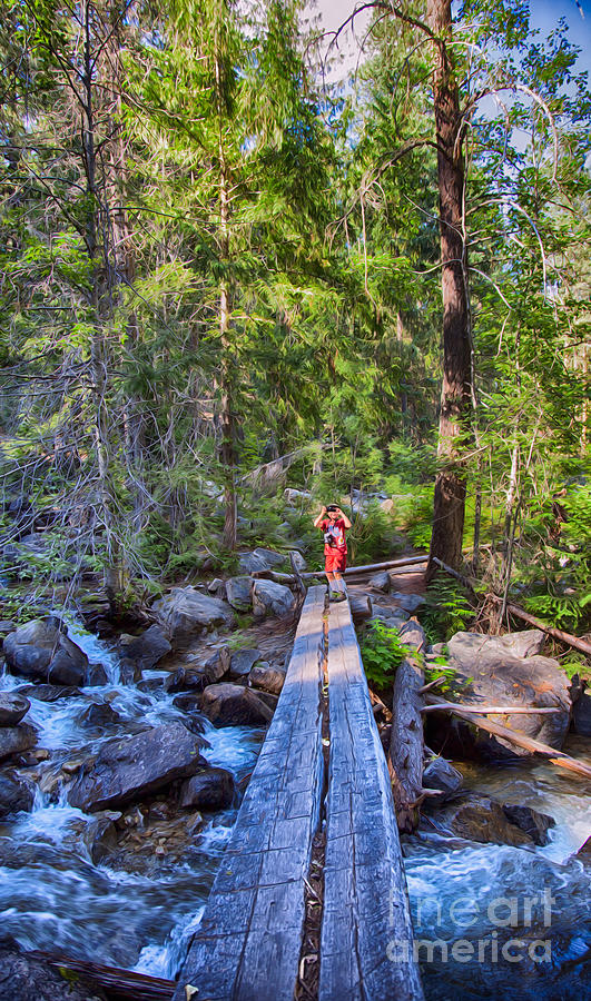 Falls Creek Footbridge Photograph by Omaste Witkowski