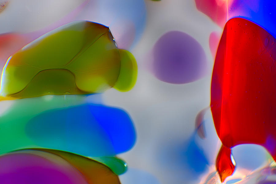 Fish Commuting Photograph by Omaste Witkowski