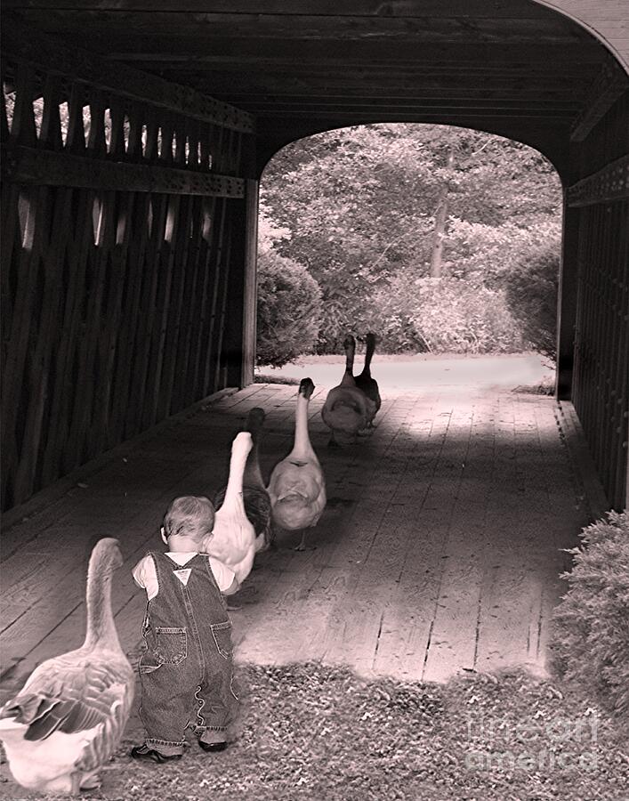 Follow the Leader Photograph by Mary Lou Chmura