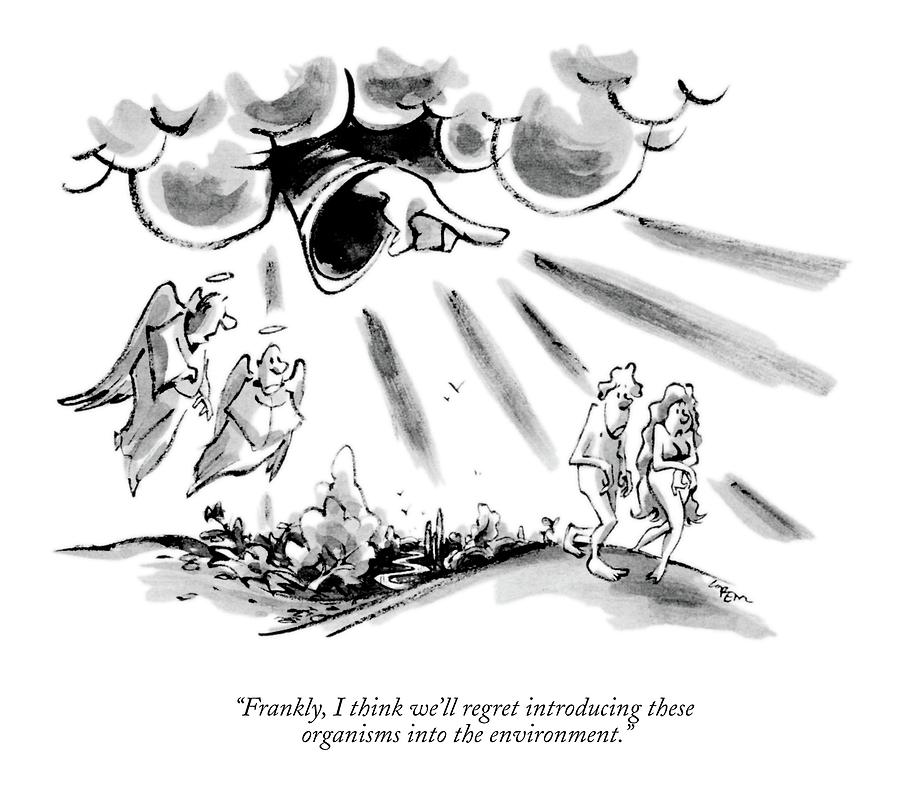 Heavenly Finger Points at Adam and Eve Drawing - Frankly, I Think Well Regret Introducing These by Lee Lorenz