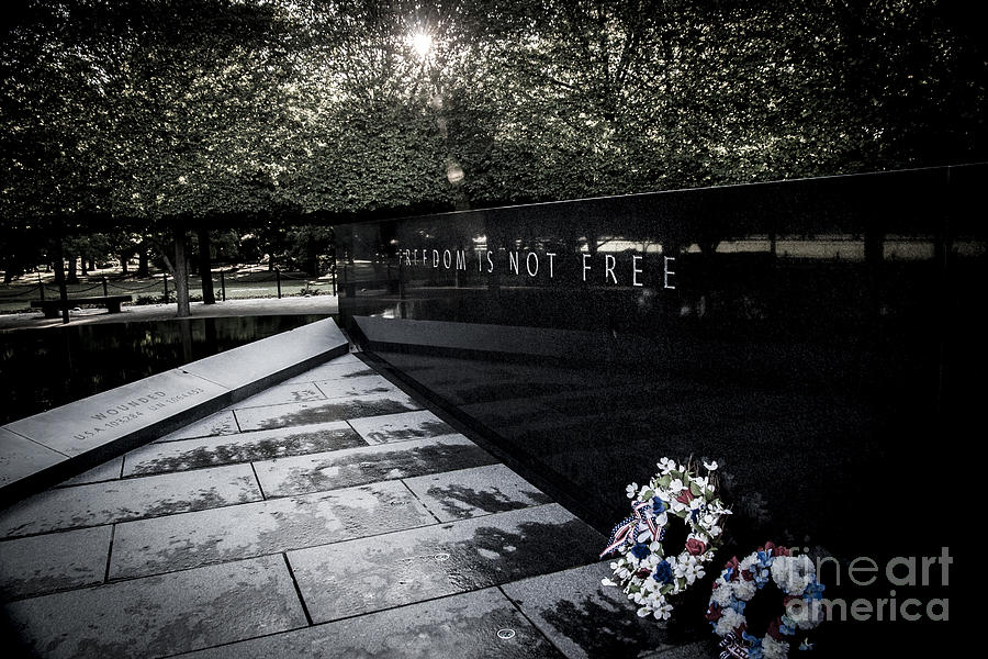 Freedom is Not Free Photograph by Darcy Michaelchuk