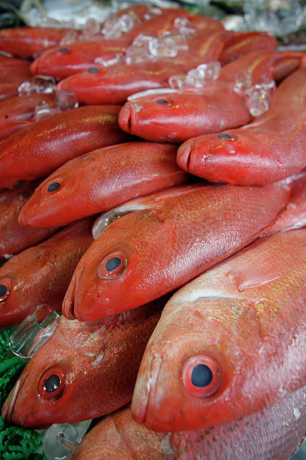 Fresh Red Snapper At The Fish Market by Chris Pinchbeck