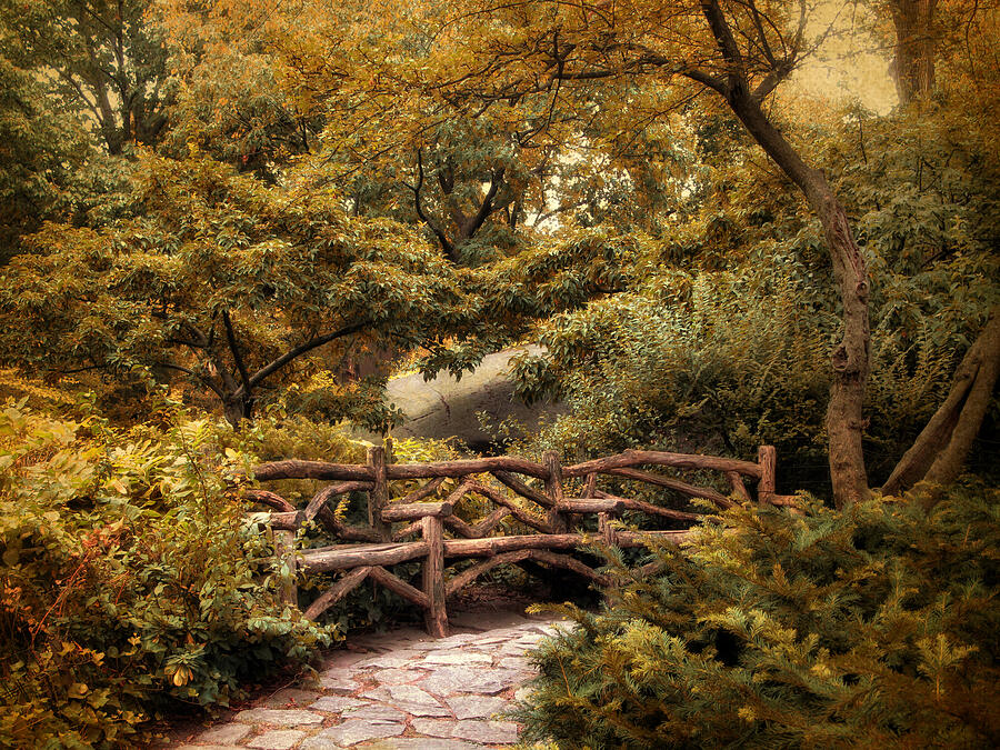 Garden Repose Photograph by Jessica Jenney