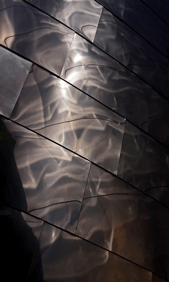 Gehry Magic Photograph by Rona Black