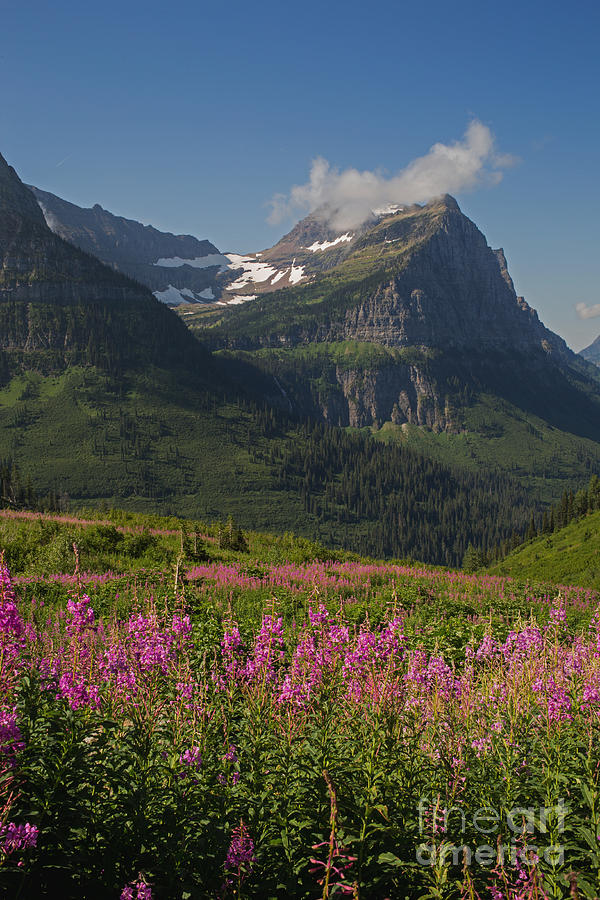 Glacial Views Photograph by Natural Focal Point Photography