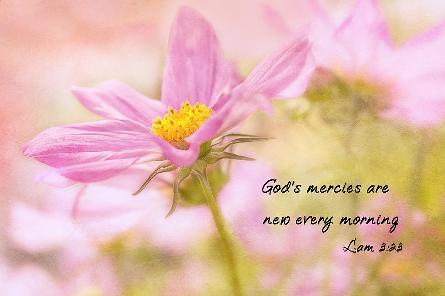 Pink Flower With Inspirational Quote Photograph - Gods Mercies by Mary Jo Allen