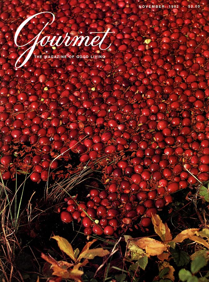 Cranberries in a field Photograph - Gourmet Magazine Cover Featuring Cranberries by Lans Christensen
