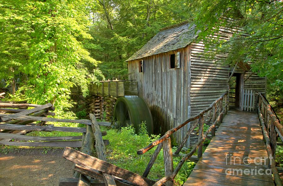 Rustic Watermill in Lush Forest Photograph - Grist Mill At Cades Cove by Adam Jewell