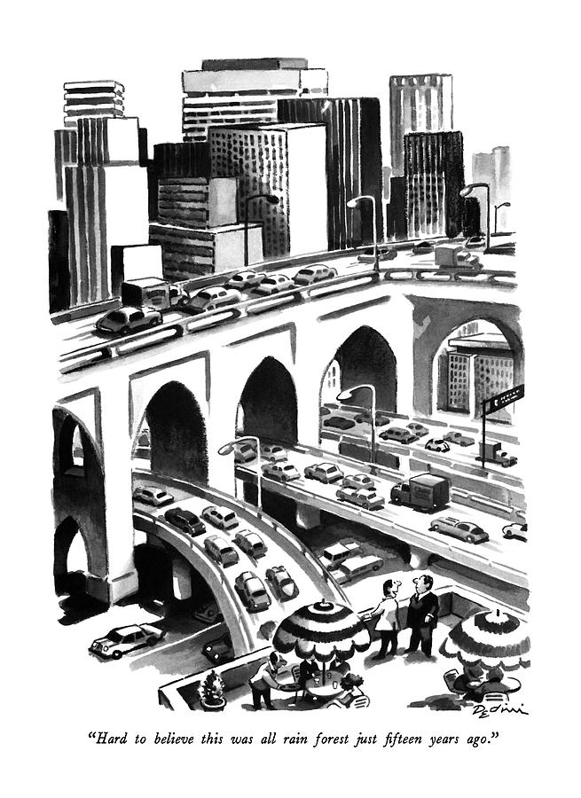 Hard To Believe This Was All Rain Forest Drawing by Eldon Dedini