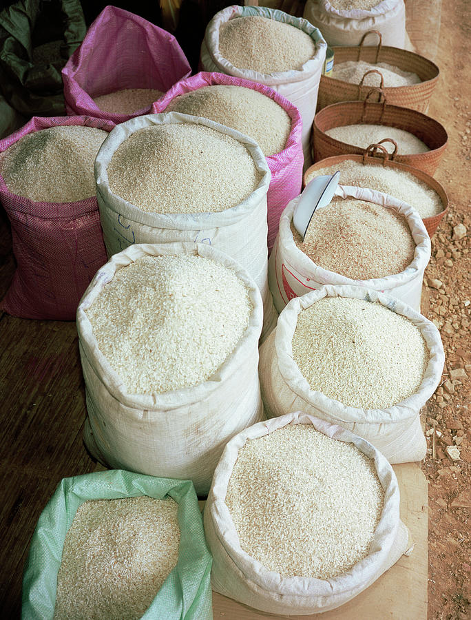 Mit Has Rice Packet Harvested Rice In Bags by Bjorn Svensson / Science Photo Library