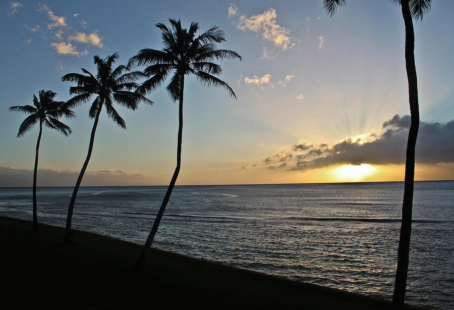 Hawaiian Sunset Photograph by Joann Copeland-Paul