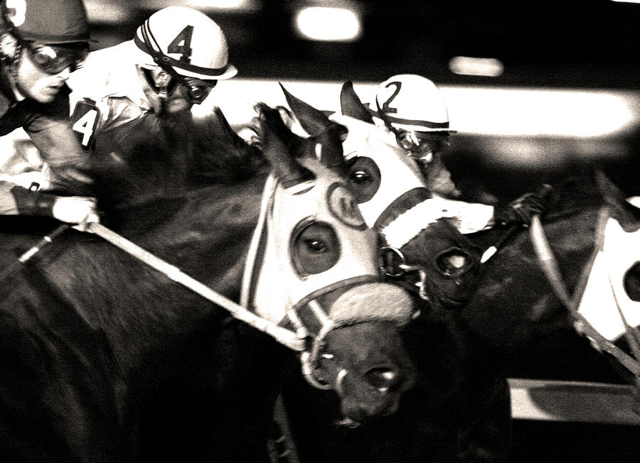 Head-to-head Photograph by La Dolce Vita