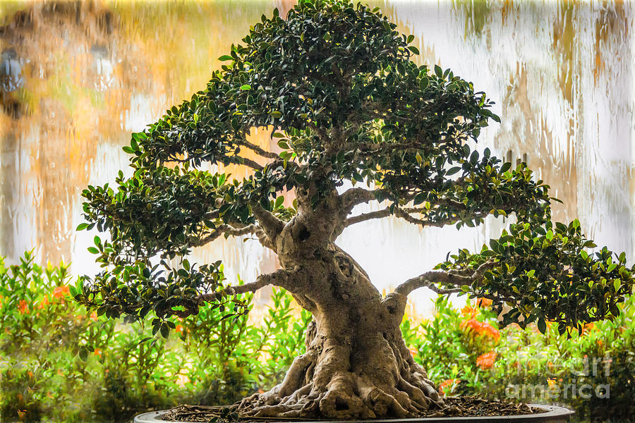 Heaven and Earth Photograph by Mary Lou Chmura