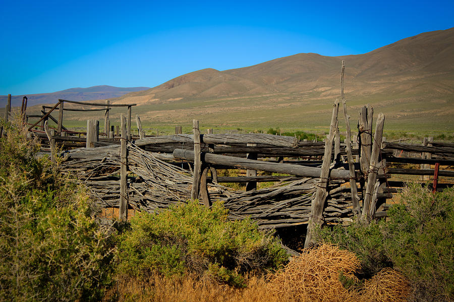 Idaho Nevada Ranch Alley Photograph by Carla E