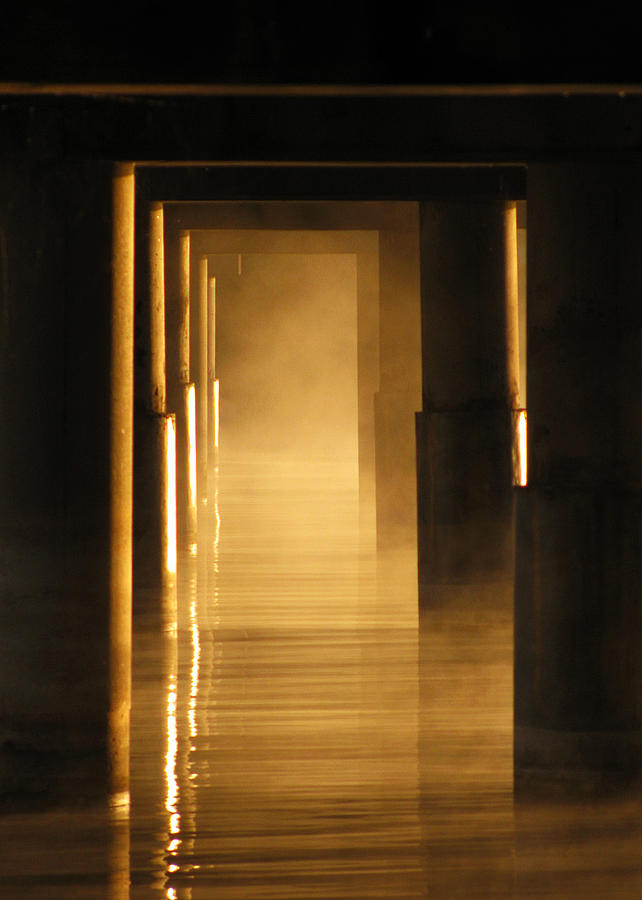 Into the Mist Photograph by Lisa Chorny