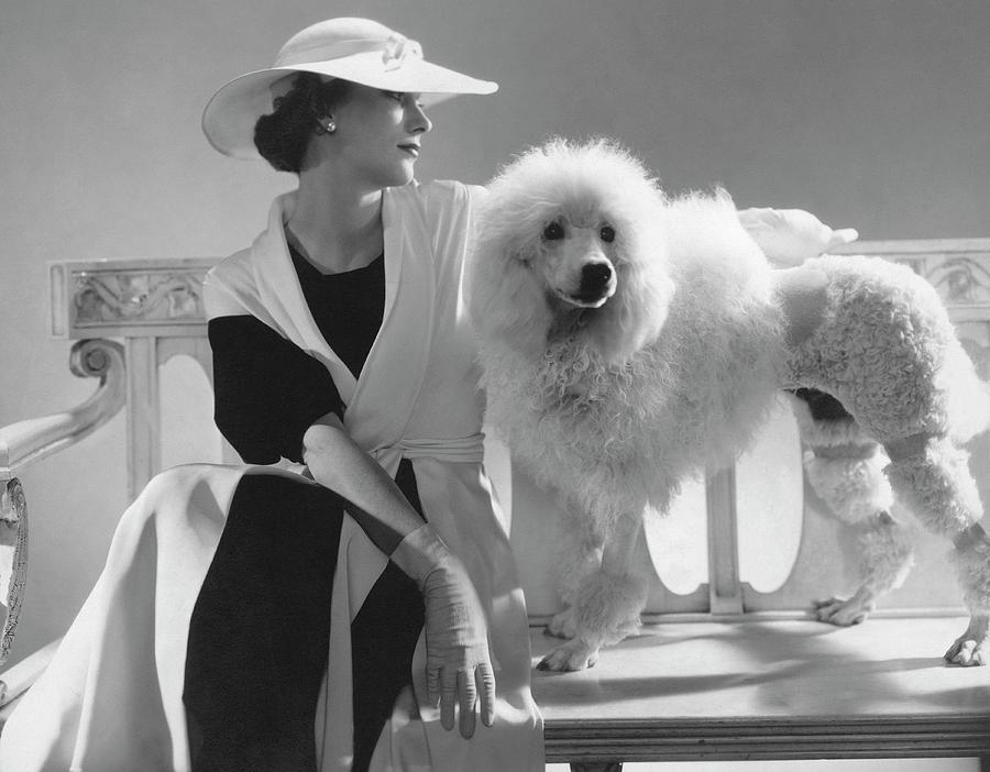 Elegant Woman with Poodle Photograph - Isabel Johnson With A Poodle by Edward Steichen