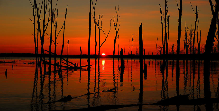 January Sunrise Photograph by Raymond Salani III