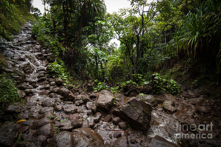 Kalalau Trail Na Pali Coast Photograph by Blake Webster