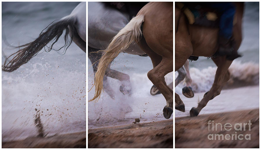 Kicking up the Sand Photograph by Mary Lou Chmura