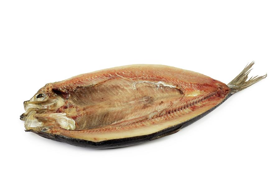 Live Kipper Fish Kipper by Geoff Kidd / Science Photo Library