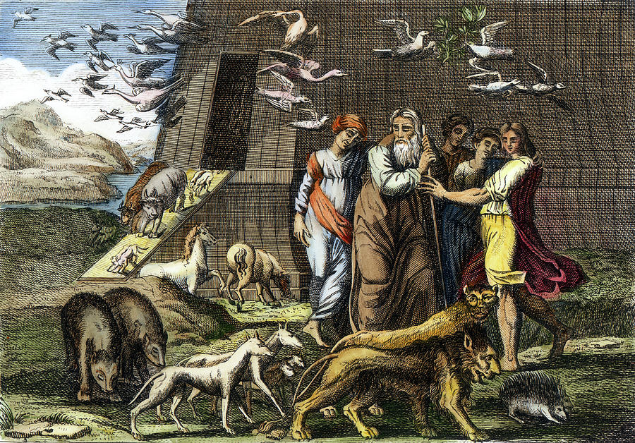 Leaving Noah's Ark by Granger