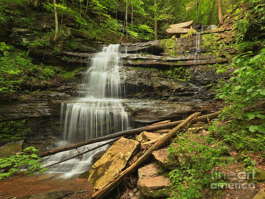 Crystal Clear Forest Waterfall Photograph - Leonard Harrison Waterfall by Adam Jewell
