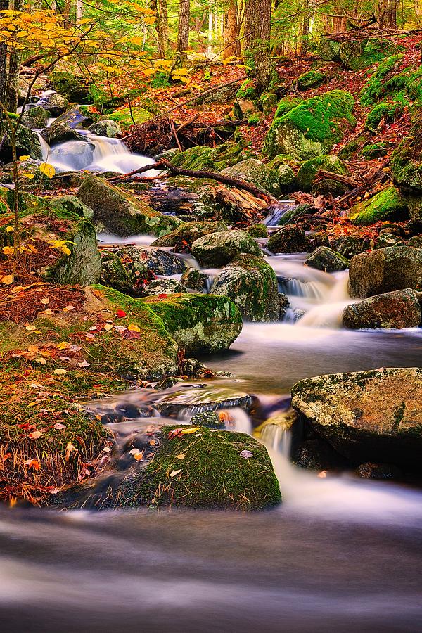 Madison Cascades Photograph by Jeff Sinon