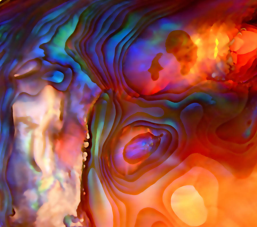 Vibrant Abstract Layers Photograph - Magic Shell 2 by Rona Black