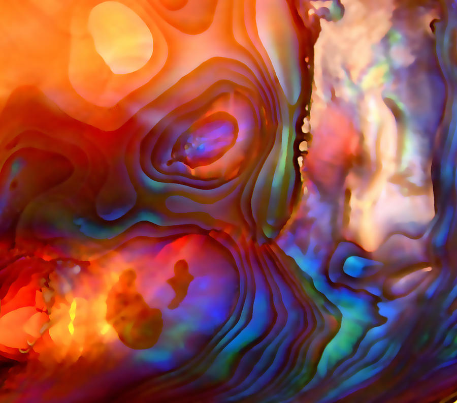 Vivid Ripple Patterns Photograph - Magic Shell by Rona Black